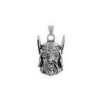 VIKING WARRIOR GUARDIAN BELL